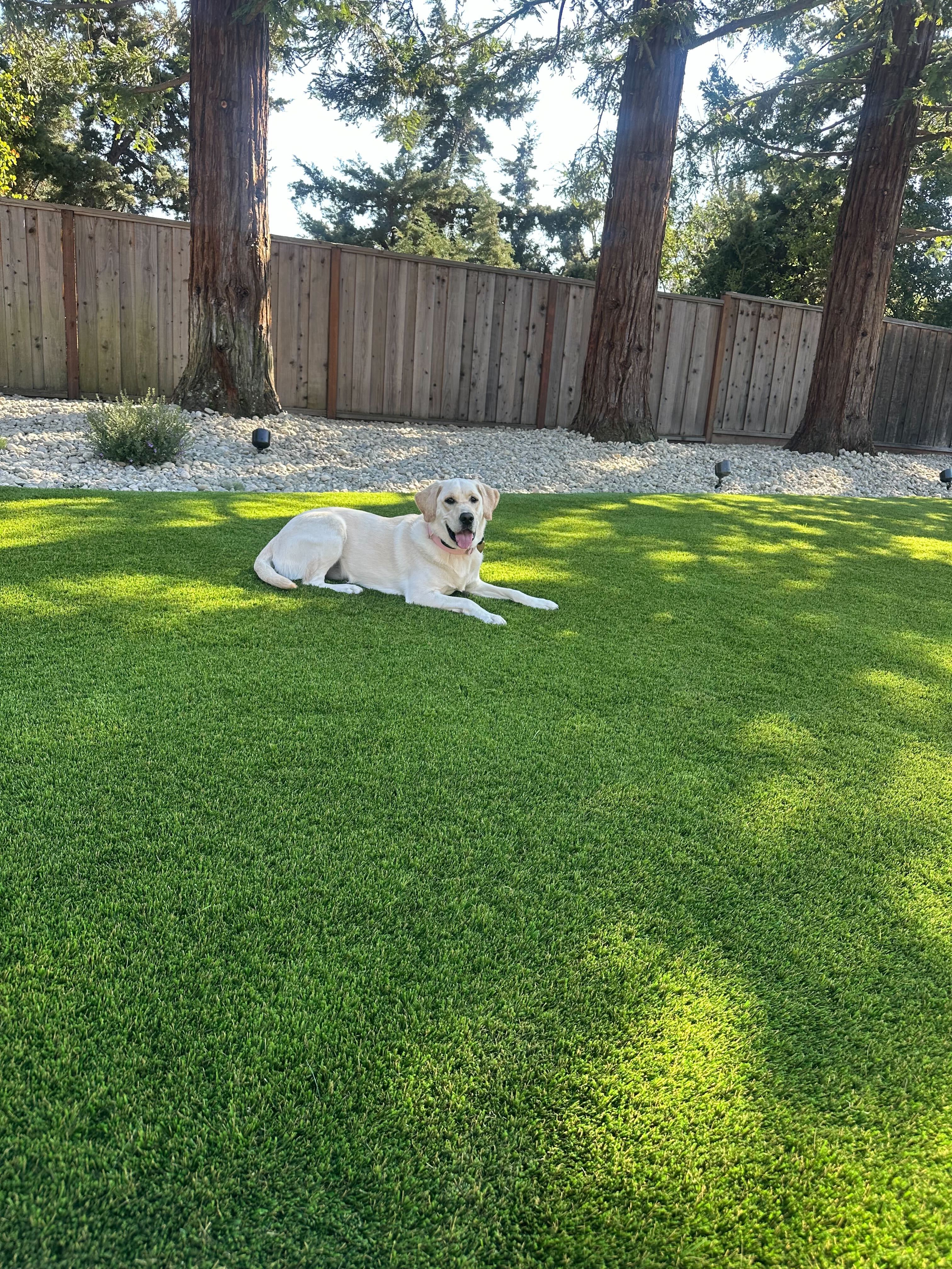 fg-pavers-and-turf-danville-outdoor-living-after-126.jpg Danville outdoor living project — site photo