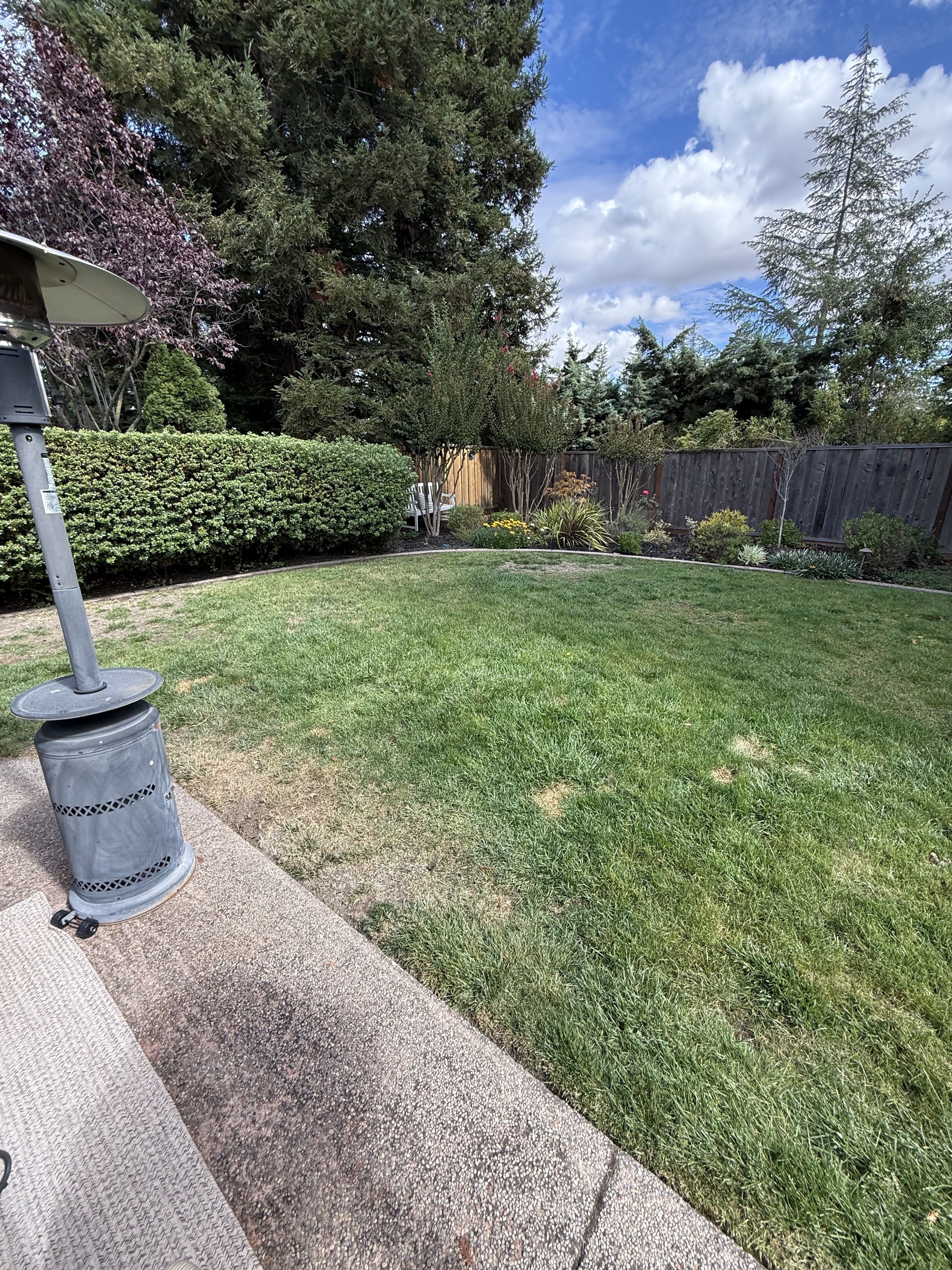 fg-pavers-and-turf-danville-outdoor-living-before-135.jpg Danville outdoor living project — site photo